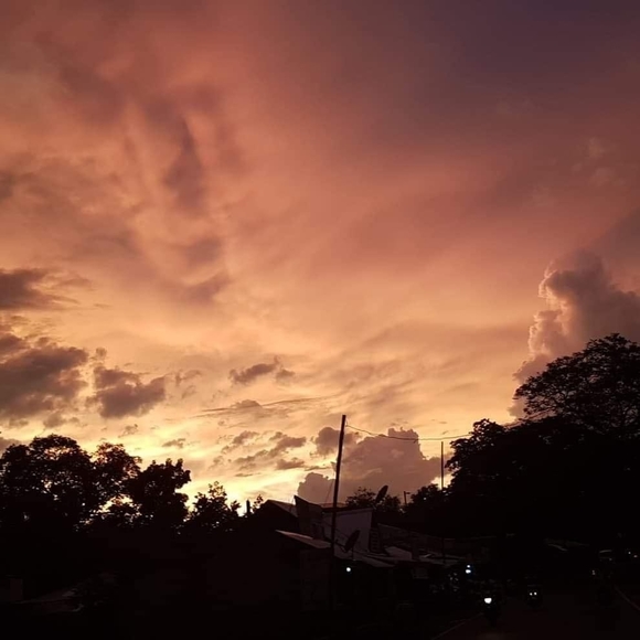 Meet your Posher, Brenda - Picture 1 of 1